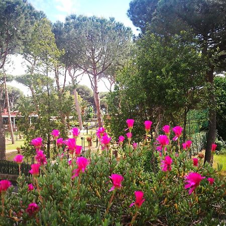 Casa Margherita Affittacamere B&B Фолоника Екстериор снимка
