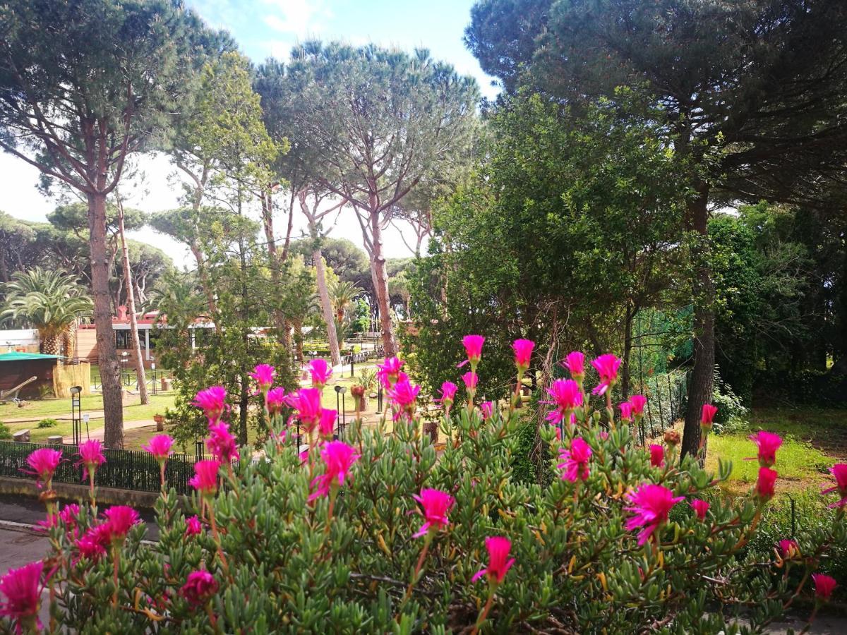 Casa Margherita Affittacamere B&B Фолоника Екстериор снимка